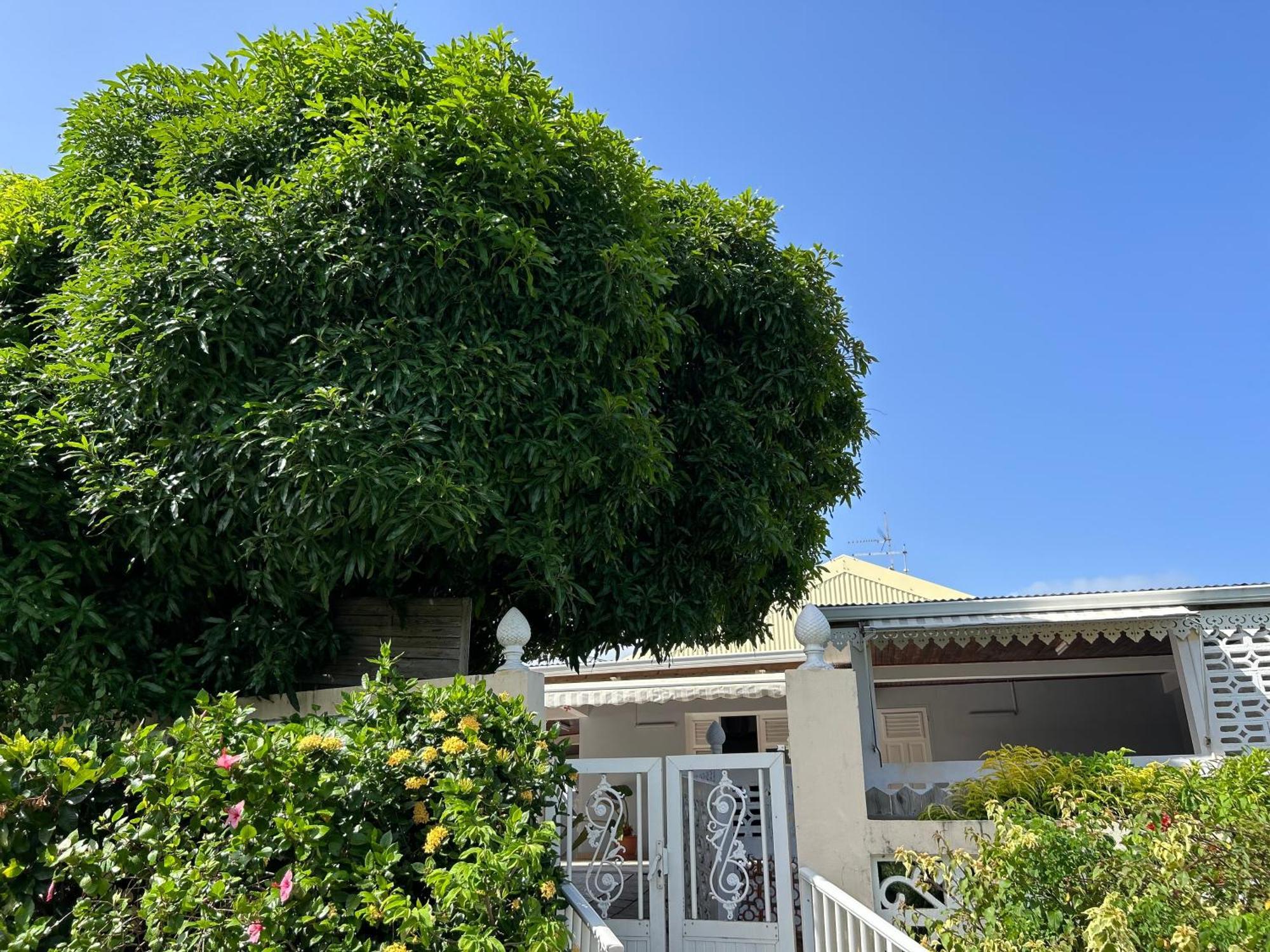 Villa A Louer A Sainte-Anne En Martinique Dış mekan fotoğraf